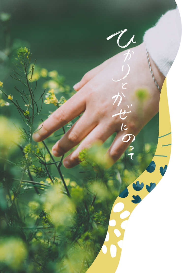 ひかりとかぜにのって