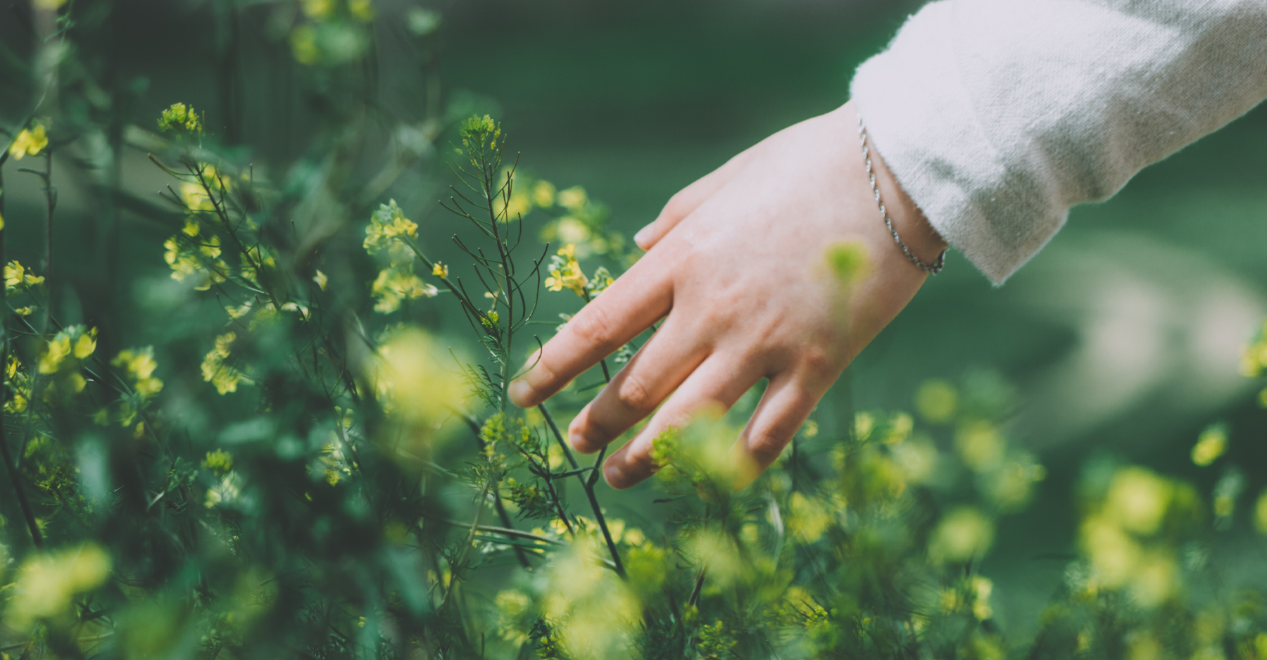 ひかりとかぜにのって