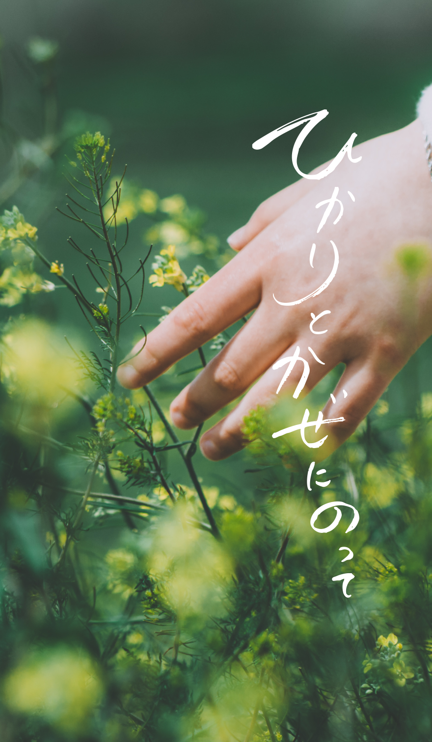 ひかりとかぜにのって